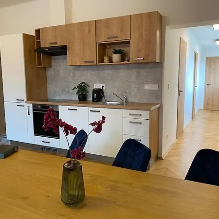 Appartamento č.5 V Bankovním Domě *